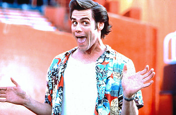 Jim Carrey, Ace Ventura, Reboot rumors HD wallpaper