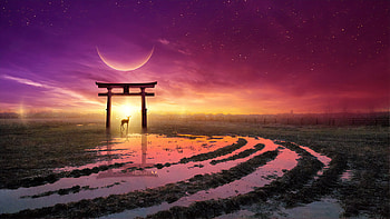 The Precious Light Of Morning, artist, artwork, digital-art, deviantart HD wallpaper