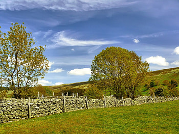Stoney walls, forests, nature HD wallpaper