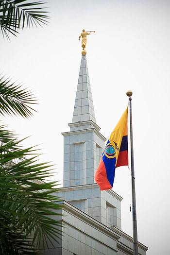 Guayaquil , Vibrant city, Cultural heritage HD phone wallpaper