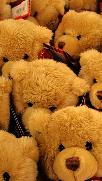 Teddy Bear Ke, Teddy Bear, Collection HD phone wallpaper