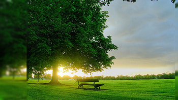 Nice Backgrounds HD wallpaper