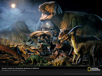 dinosaur-models, animal, great, awesome, tyrannosaurus rex, , nice, monsters, animals, amazing, national geographic, dinosaur, other, t-rex, tyrannosaurus, prehistoric, drawing, cretaceous, prehistory, cool, paleontology, reptiles, tyrannosaur, reptile HD wallpaper
