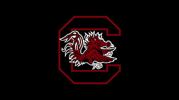 South Carolina fires Frank Martin, College basketball, Coaching change, Sports news HD wallpaper