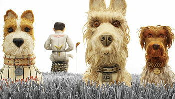 Rex, Isle of Dogs HD wallpaper