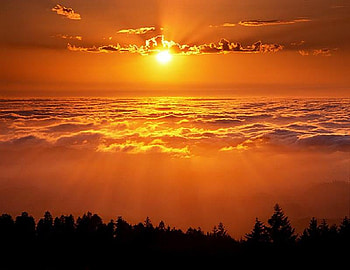 At The End Of The Day, glow, clouds, trees, beautiful, orange HD wallpaper