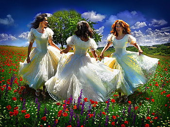 Beautiful day, white dressed, day, poppy, field, women, girls, beautiful HD wallpaper