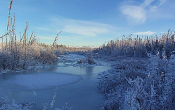 Winter lake , winter, blue sky, pound, frozen lake, frozen pound, lake HD wallpaper