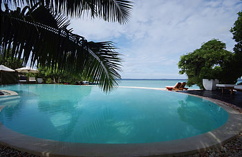 Nature, Palms, Tropics, Pool HD wallpaper