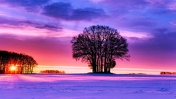 Lovely Winter Evening, sunset, snow, landscape, clouds, colors, sky, tree HD wallpaper