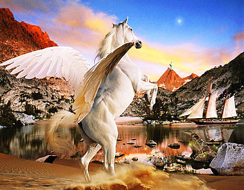 Pegasus By A lake, horses, pegasus, fantasy, animals HD wallpaper