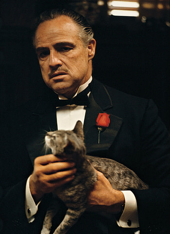 The Godfather , Movie HQ, 2019, Iconic moments HD phone wallpaper