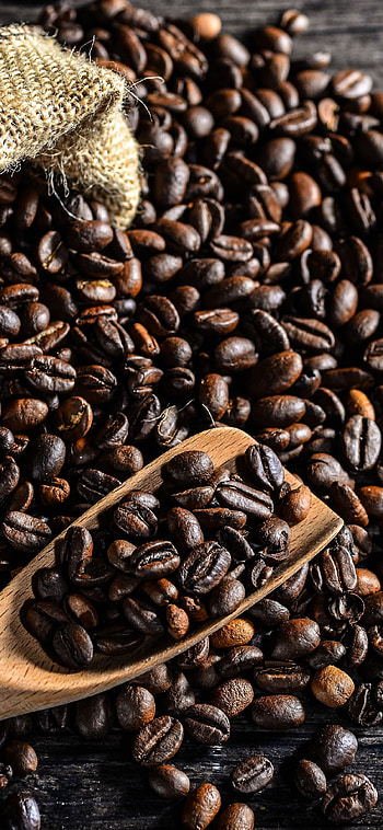 Coffee Beans, Coffee beach, Backgrounds, Food HD phone wallpaper