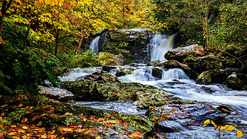 East Tennessee Waterfall, stones, usa, river, leaves, autumn, trees, rocks HD wallpaper