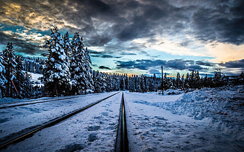 Winter, Nature, Snow, Railway, r, Rails HD wallpaper