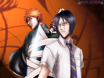 Ichigo And Uryuu, ishida, bleach, ichigo, anime, kurosaki, uryuu HD wallpaper