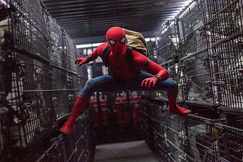 Spider Man Homecoming, spiderman-homecoming, spiderman, 2017-movies, movies, super-heroes HD wallpaper