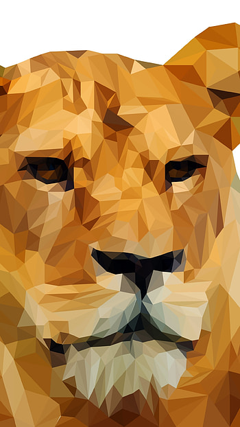 Lioness, Facets HD phone wallpaper