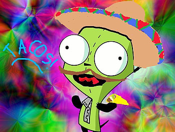 Taco Gir, sombrero, gir, rainbow, tacos, cute, funny, mustache HD wallpaper