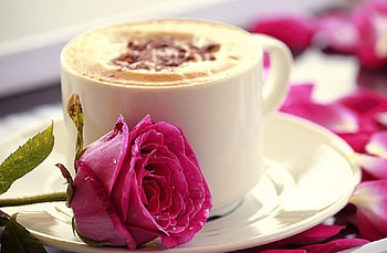 coffee with rose, still life, rose, abstract, graphy, coffee HD wallpaper