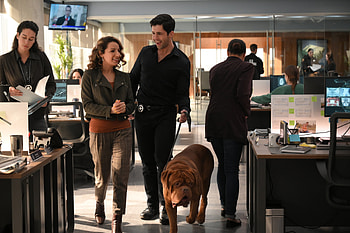 Turner & Hooch, Movie HD wallpaper
