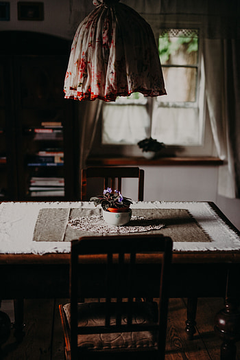 Interior, Flower, Miscellanea, Miscellaneous, Table, Premises, Room, Furniture, Chairs HD phone wallpaper