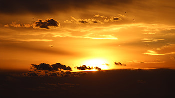 Golden Glow At Dusk, nature, dusk, sunlight, glow HD wallpaper