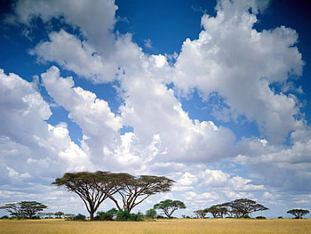 Masai , Top backgrounds HD wallpaper