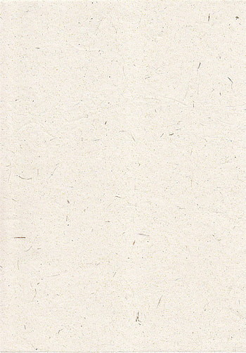 Elelphant White A4 Paper. Recycled paper texture, Paper texture HD phone wallpaper