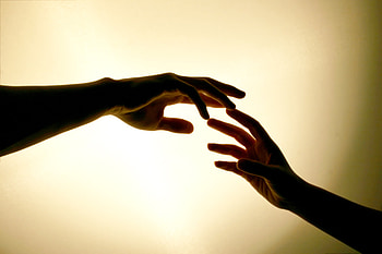 Love, Couple, Pair, Hands, Touch HD wallpaper