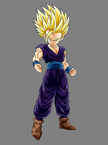 Gohan, Anime protagonist, Dragon Ball Z, Majin Boo HD phone wallpaper