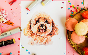 Drawing, Marker, , Still Life, Dog, Macaron HD wallpaper