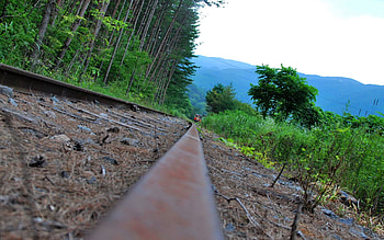 Nature, Grass, Railway, Train HD wallpaper