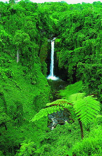 Things to do, Activities & Fun, Samoa, Taumeasina Resort HD phone wallpaper