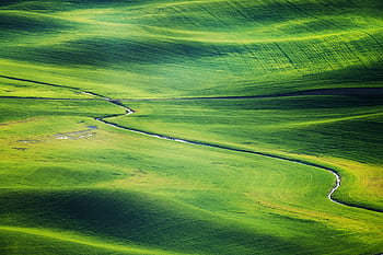 Scenic aerial view of vibrant green fields with a winding stream cutting through. HD wallpaper