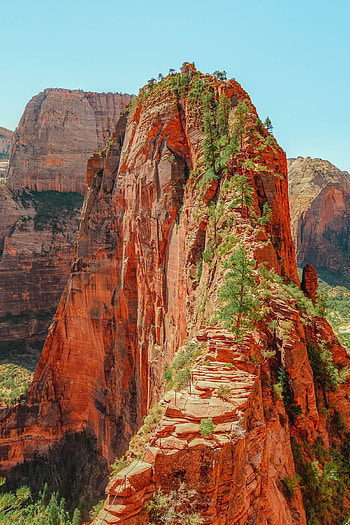 Zion National Park, Best things, Hand luggage, USA HD phone wallpaper