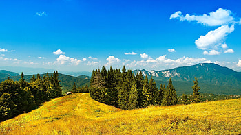Nature, Trees, Sky, Mountains, Conifers, Coniferous, Freshness, Sunny, Clear, I See HD wallpaper