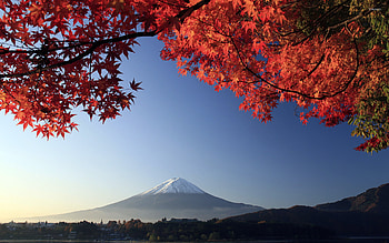 Mount Fuji, Autumn HD wallpaper