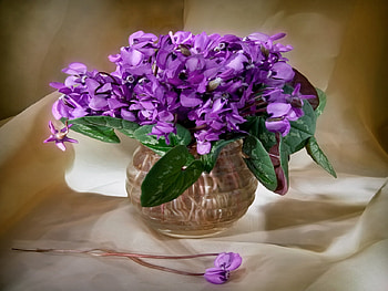 Beautiful Flowers, table, white, graphy, vase, beautiful, beauty, nice, still life, glass vase, springtime, pretty, nature, flowers, water, violets, lovely HD wallpaper