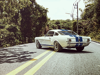 Ford, Cars, Shelby, Muscle, Gt350R HD wallpaper