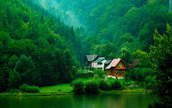 Relaxing - , Relaxing Background on Bat, Eye Soothing HD wallpaper