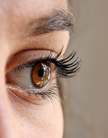 Detailed showing a brown eye with long eyelashes and eyebrow. HD phone wallpaper