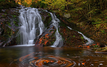 Waterfall, nature, forest, tree HD wallpaper