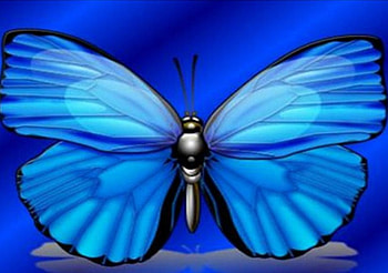 Forever Blue, blue, butterfly HD wallpaper