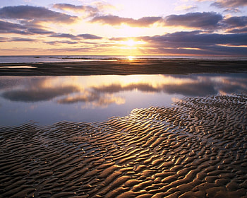 texel beach , texel, beach HD wallpaper