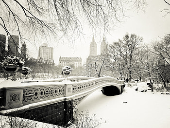 Monochrome, Central Park HD wallpaper
