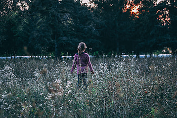 Flowers, Grass, Miscellanea, Miscellaneous, Field, Child HD wallpaper