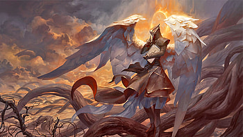 Angel of Mysteries, magic, book, fantasy, halo, angel HD wallpaper