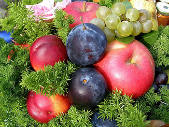 Fruits, Food, Grass, Apples, Plum HD wallpaper