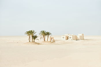 Serene desert scene with palm trees and traditional house under a blue sky. HD wallpaper